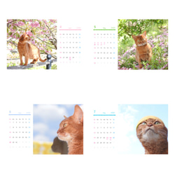 2020年4月始まり猫カレンダー 3枚目の画像