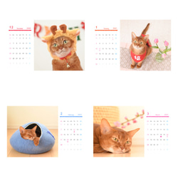 2020年4月始まり猫カレンダー 5枚目の画像