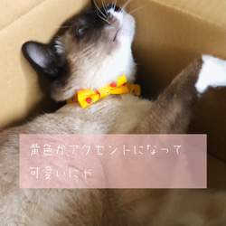 ■送料無料■猫首輪(M)〜春を感じる、いちごと黄色〜 5枚目の画像