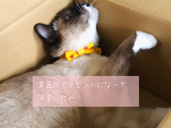 ■送料無料■猫首輪(M)〜春を感じる、いちごと黄色〜 5枚目の画像