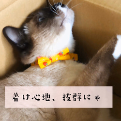 ■送料無料■猫首輪(M)〜お花とキノコ〜青 5枚目の画像