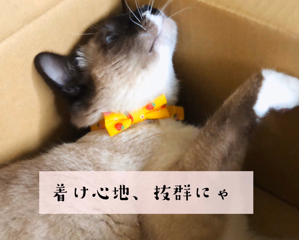■送料無料■猫首輪(M)〜お花とキノコ〜白 5枚目の画像