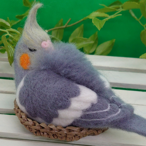 ねむねむ 羊毛 オカメインコノーマル♀ 羊毛フェルト 月猫 通販