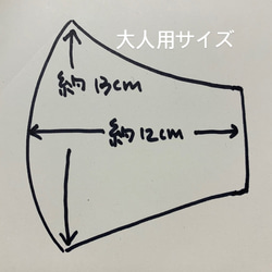 リネン100% X Wガーゼ　立体マスク　★ノーズワイヤー付き★ 6枚目の画像