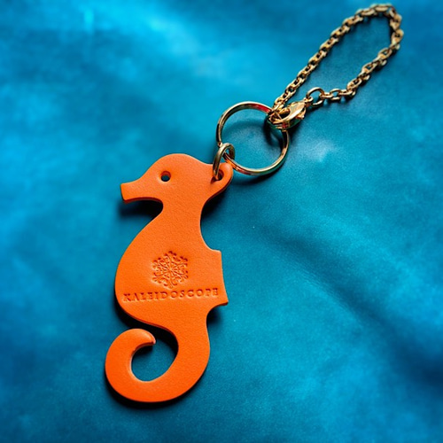 タツノオトシゴ様 リクエスト 3点 まとめ商品 夜光貝 (三点お