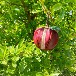 【受注製作◆納期約3週間】ヌメ革ミニポーチ　「pomme」ダークレッド 1枚目の画像