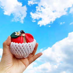 [交貨時間約2週]蘋果形迷你袋“pomme”Kogyoku（帶花） 第1張的照片