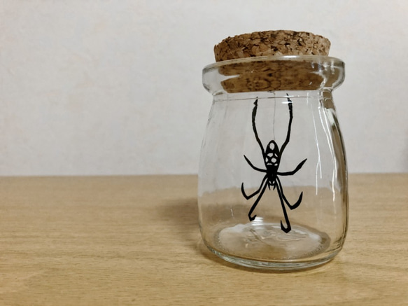 網目女郎蜘蛛 bottle 2枚目の画像