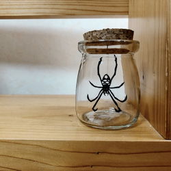 網目女郎蜘蛛 bottle 3枚目の画像