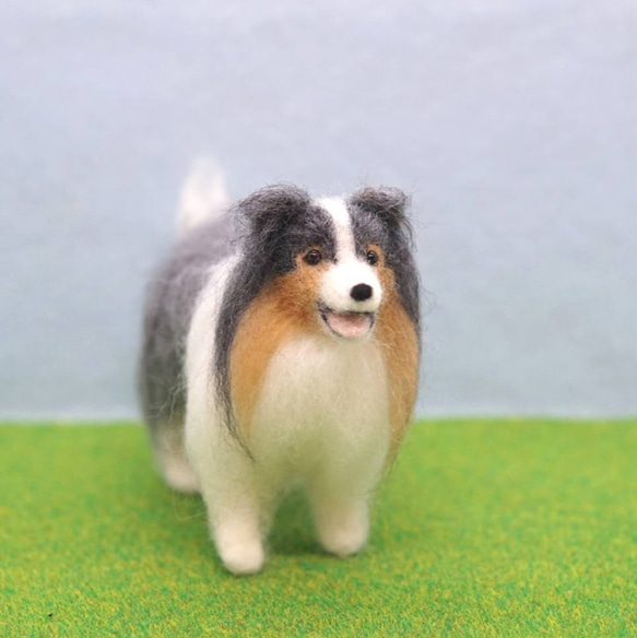 シェルティ ブルーマール 羊毛フェルト わん♡らぶ 通販 12087333