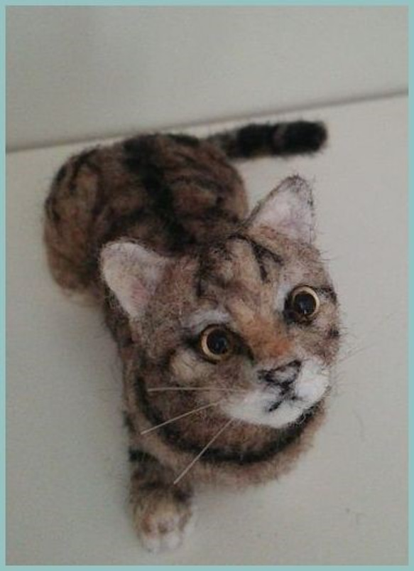 羊毛フェルト　オーダー　犬　猫　ペット　 ねこ　イヌ　ネコ 4枚目の画像