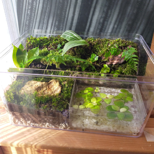 屋根付の隠れ家、自然の中の飼育箱④ ハウス・小屋 サリー 通販
