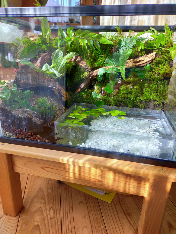 自然の中の飼育箱、オーダーメード 自然の中の飼育箱、オーダーメード