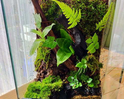 自然の中の飼育箱オーダーメイド、ビバリウム ハウス・小屋 自然の中の飼育箱オーダーメイド、ビバリウム ハウス・小屋
