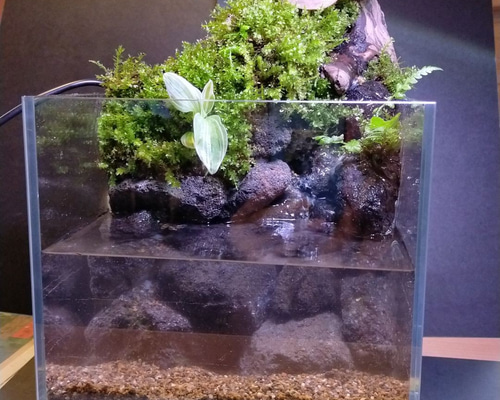 良品 美品 アクアリウム用品　水中の滝 アクア用品　清流　瀧　渓流　渓谷　涼しい Waterfall Basin Aqua Terrarium Part 3 [Germination] Planted