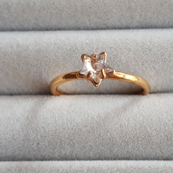 WACKO MARIA ワコマリア × WOLF'S HEAD STAR RING ウルフズヘッド スター リング シルバー系 18.5号【中古】