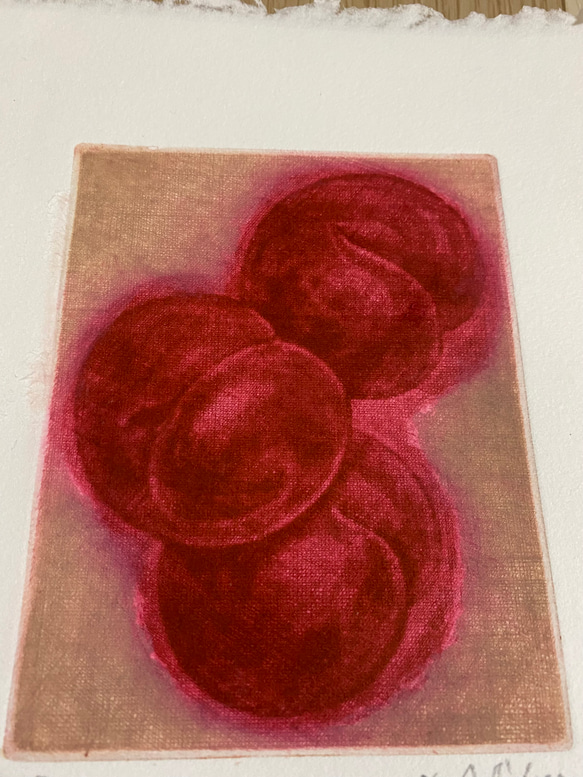 銅版画/Plum(額縁つき) 4枚目の画像