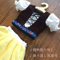  第6張的照片