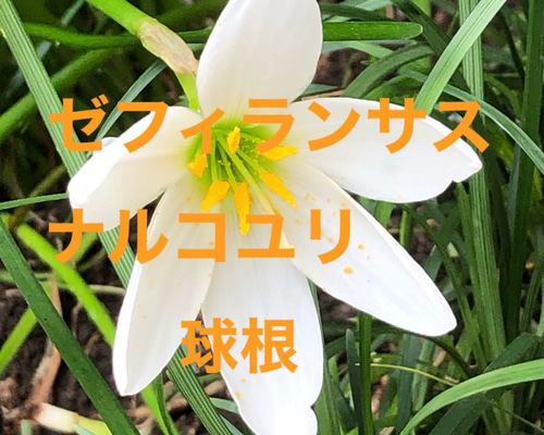 0_0d43b53cea429a4a47713e519e21