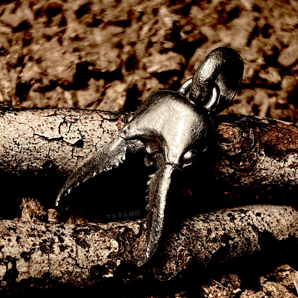 国産小型ノコギリクワガタ リアルヘッド (品切れ中のため受注製作になります)