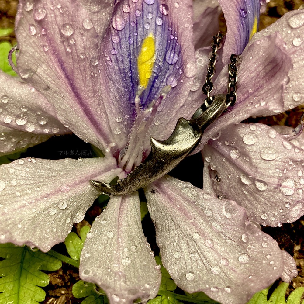 ヒラタクワガタ 左アゴペンダント (品切れ中のため受注製作になります)