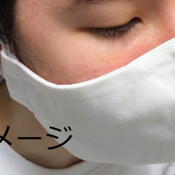 日本製ダブルガーゼ立体マスク 鼻ワイヤー入り 3枚目の画像