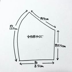 くすみカラー　立体マスク❣️大臣マスクに変更可❣️女性用 6枚目の画像