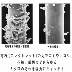  第5張的照片