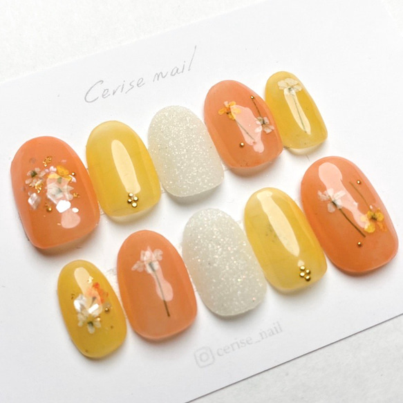 はなページ ネイルチップ ネイルチップ 手の爪用 ベージュ系[品番：FQ000190627]｜PlusNao