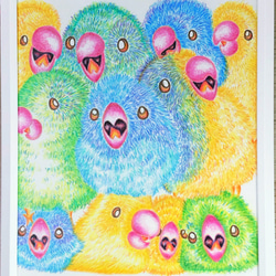 ｜鳥主人手繪｜ 魔性的太平洋鸚鵡 ｜附框｜鸚鵡 色鉛筆 寵物 鳥 手繪 居家裝飾 第5張的照片