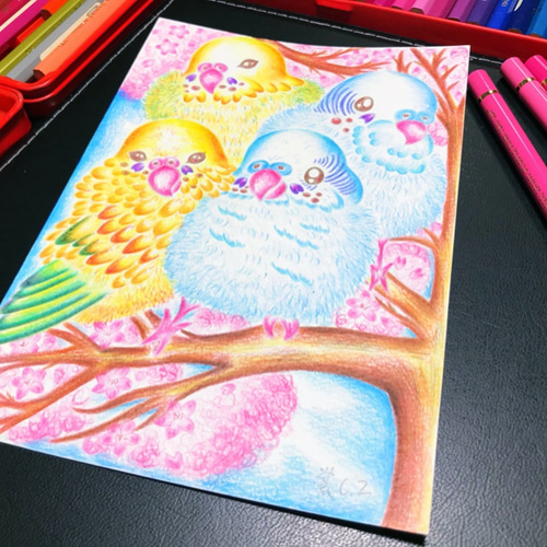 鳥の飼い主さんの手描き☆さくらウォッチングセキセイインコ