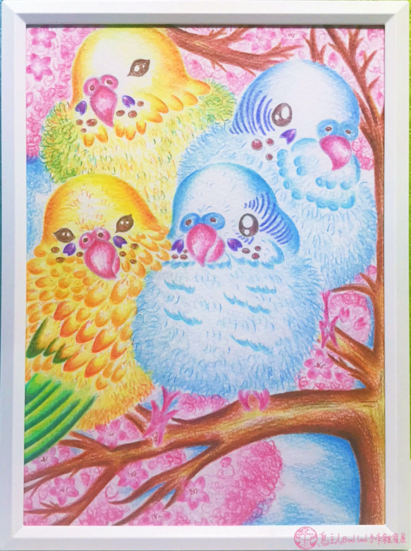 !!鳥の飼い主さんの手描き☆さくらウォッチングセキセイインコオウム色鉛筆ペット鳥手描きの家の装飾桜 3枚目の画像