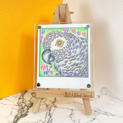 ｜鳥主人手繪｜ 拍立得系列｜附框｜灰鸚鵡 色鉛筆 寵物 鳥 手繪 居家裝飾 磁鐵 畫架 鸚鵡 第1張的照片