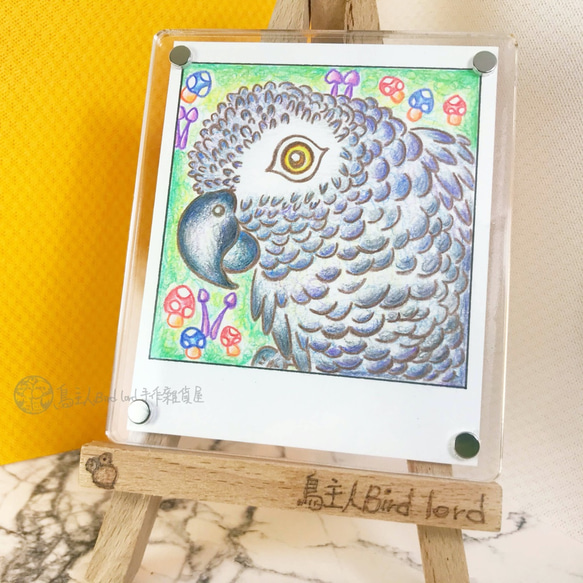 ｜鳥主人手繪｜ 拍立得系列｜附框｜灰鸚鵡 色鉛筆 寵物 鳥 手繪 居家裝飾 磁鐵 畫架 鸚鵡 第2張的照片