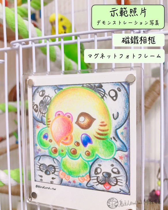 ｜飼い主手描き｜ピンクバダン｜ポラロイドシリーズ｜フレーム付き｜セキセイインコ色鉛筆ペットの鳥手描きホームデコレーションマグネッ 8枚目の画像