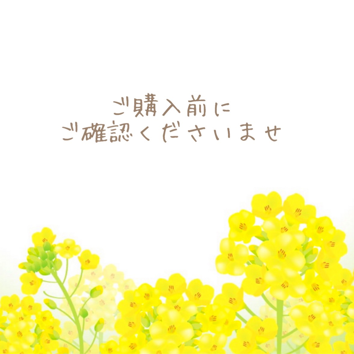 【 ご購入前にご一読くださいませ 】