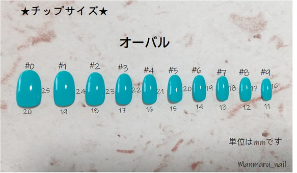 レッドブラウン×シェル ネイルチップ 4枚目の画像