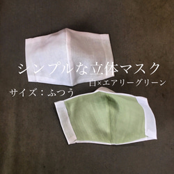 《当日発送》シンプルな立体マスク【ふつう】白×エアリーグリーン　☆夏の新作☆ 1枚目の画像
