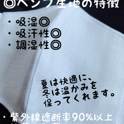 快適シンプル♪ 通気性◎ 希少　日本製　ヘンプ100% マスク　植物繊維　ノーズワイヤー　花粉対策　天然紫外線防臭 2枚目の画像