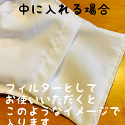 お試しセット　3層　夏　インナーマスク　抗ウイルス加工生地　× シフォン　× 接触冷感　2枚　 4枚目の画像