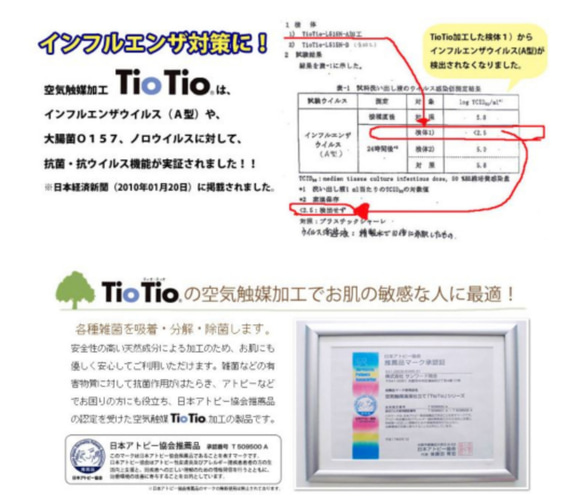  第10張的照片