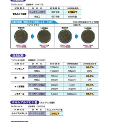  第9張的照片