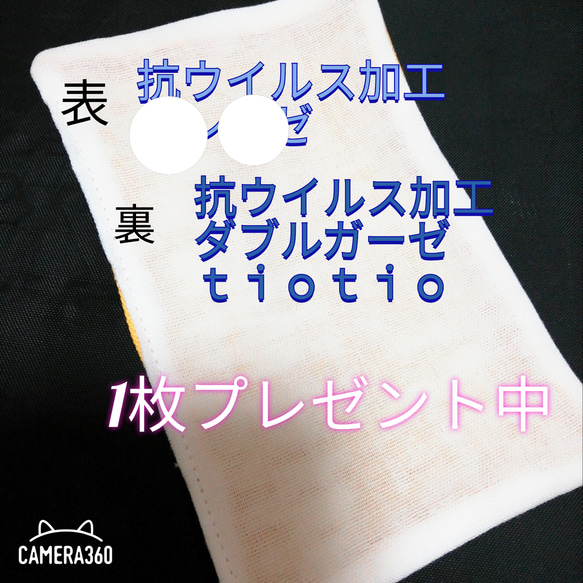 今だけ1枚プレゼント中　ハンドメイド　抗ウイルス　インナーマスク　抗菌 2枚目の画像