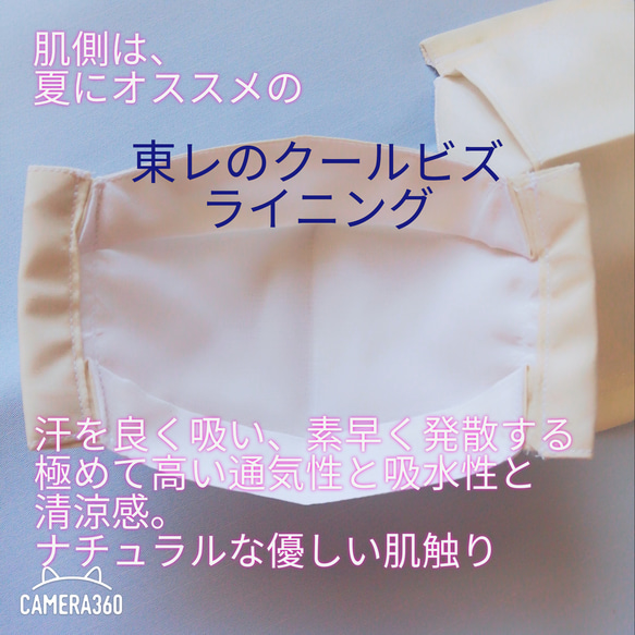 ハンドメイド　西村大臣風　抗ウイルス　舟形　マスク　2点　おまけつき　抗菌　東レ　クールビズ　夏マスク 2枚目の画像