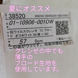 ハンドメイド　西村大臣風　抗ウイルス　舟形　マスク　2点　おまけつき　抗菌　東レ　クールビズ　夏マスク 3枚目の画像