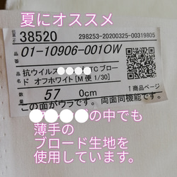 接触冷感　ハンドメイド　抗ウイルス加工　ひんやり　インナーマスク　抗菌　消臭　吸水速乾　ブロード　夏マスク 5枚目の画像