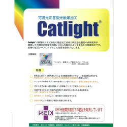 抗菌・消臭・UVカット・防汚ＣＡＴ‐ＬＩＧＨＴ  コーマローン  オフホワイト 3枚目の画像