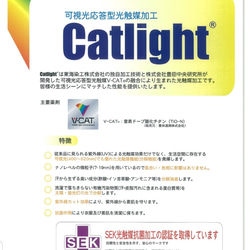 抗菌・消臭・UVカット・防汚ＣＡＴ‐ＬＩＧＨＴ  オックス 4枚目の画像