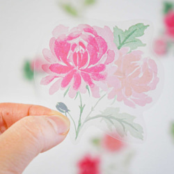 透明水彩画のウォールステッカー（レッドとピンクの菊） 1枚目の画像