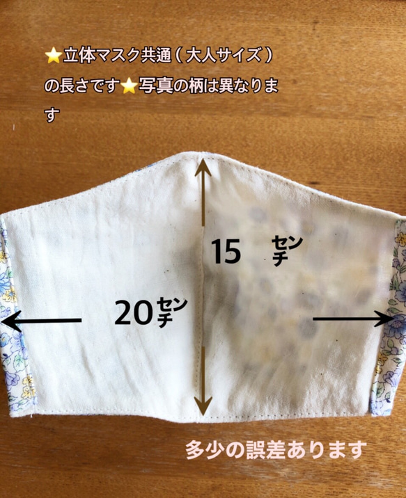 【受注製作】発送まで2〜4日 立体マスク　大人サイズ　ハリネズミが可愛い 3枚目の画像